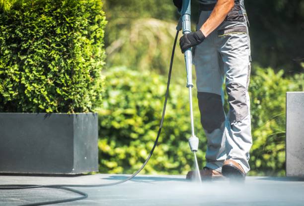 Best Pool Deck Cleaning  in Jean Fitte, LA