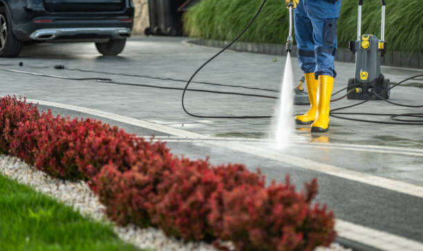 Best Sidewalk and Walkway Cleaning  in Jean Fitte, LA